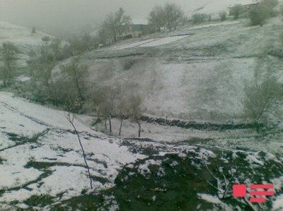 На юге Азербайджана выпало 10 см снега (фото)