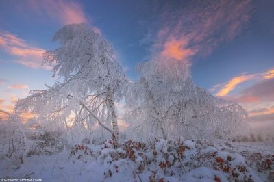 Природа Азербайджана, окутанная белым платком – ФОТО