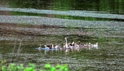 Уникальное село в Азербайджане, привлекающее большое количество туристов (фото, видео)