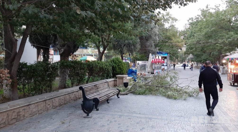 В бакинском парке сломанные ветви деревьев упали на аттракционы - ФОТО