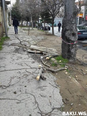 В Баку строительная компания ставит под угрозу жизни людей (фото)